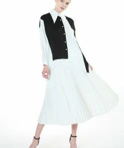 Wanderlust By Abby Pleated Flare Skirt
