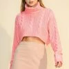 Wanderlust By Abby CLOTHING Turtle Neck Crop Pullover Sweater