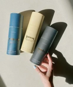 Wanderlust By Abby Diffuser Sticks + Oil NEW