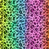 Wanderlust By Abby NEW Rainbow Animal Print Wrapping Paper