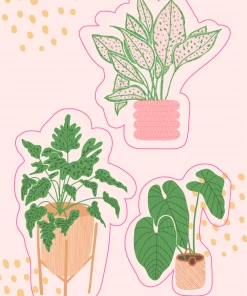 Wanderlust By Abby NEW Sticker Sets